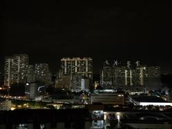 Blk 38 Jalan Rumah Tinggi (Bukit Merah), HDB 4 Rooms #131212312